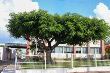 Foto - PRÉDIOS PÚBLICOS