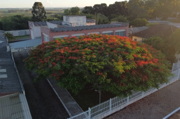 Foto - Cidade - AEREAS
