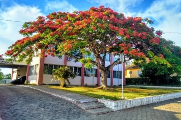 Foto - PRÉDIOS PÚBLICOS